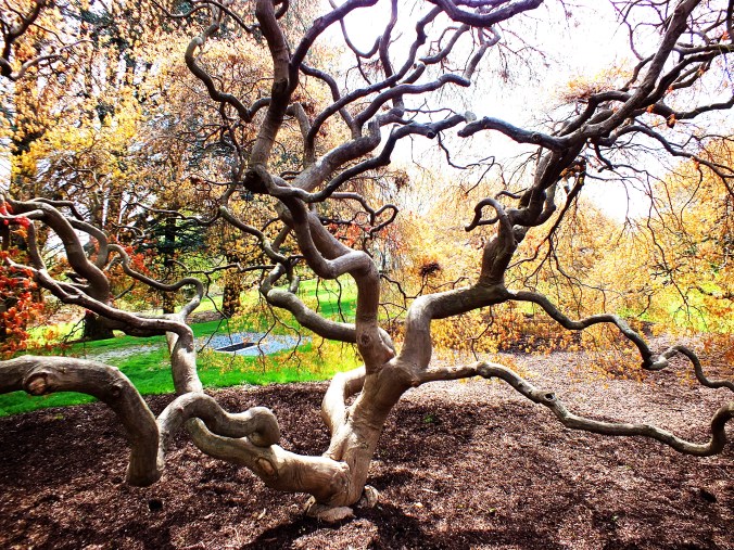 gggggggggggggggggggggggggggg