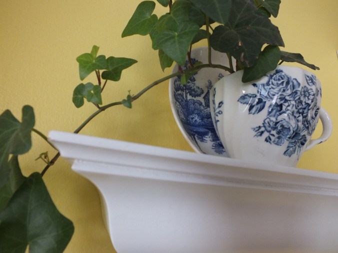 june and july 2014 039