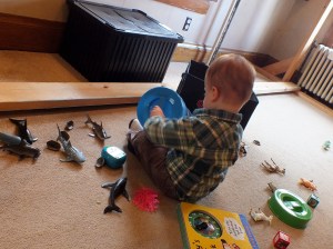 november-december 573