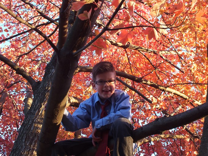 november-december 052