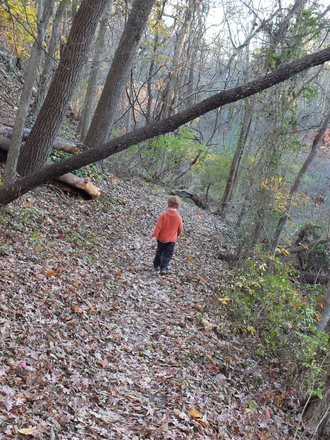 The boys-november 2015 057