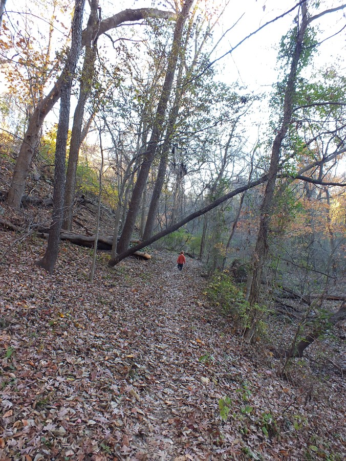 The boys-november 2015 058