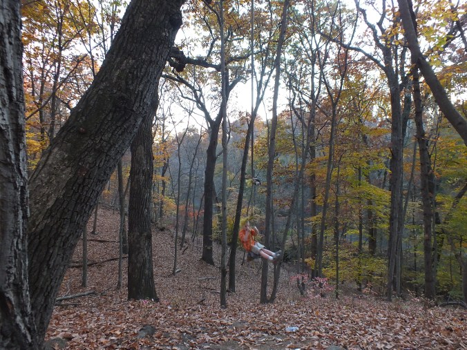 The boys-november 2015 108